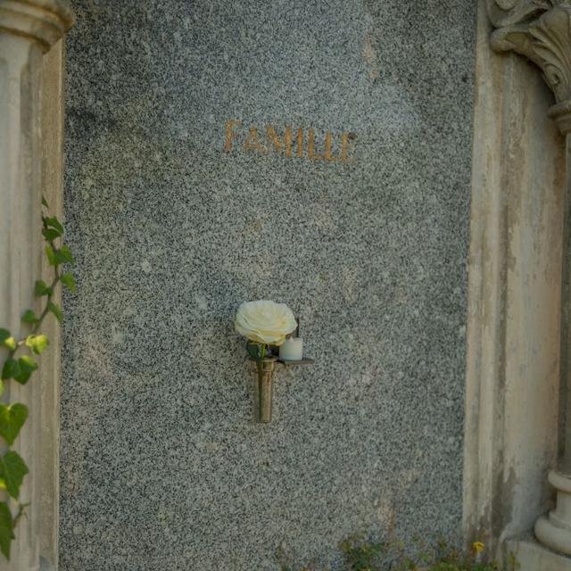 displayImage
