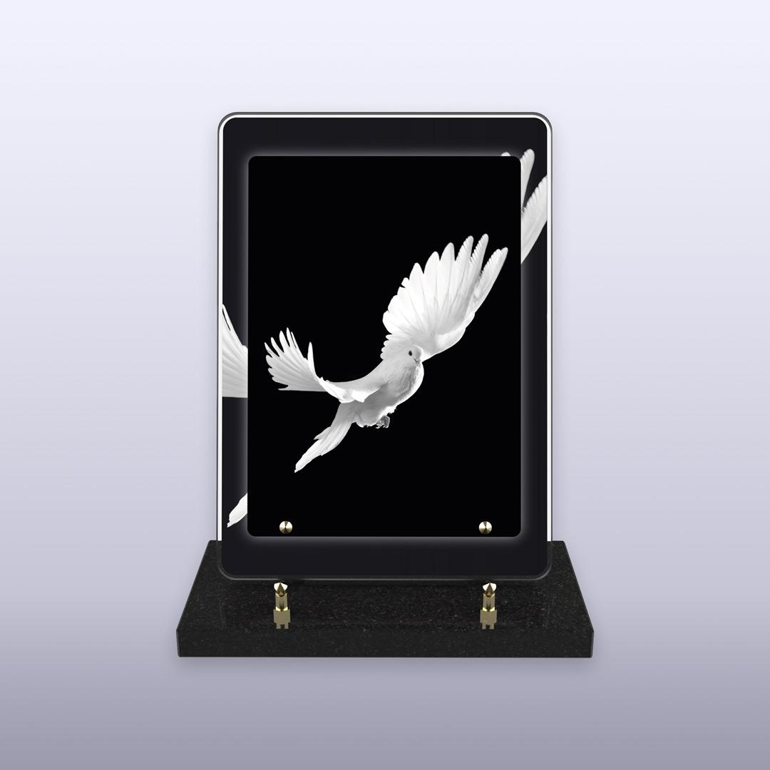 displayImage