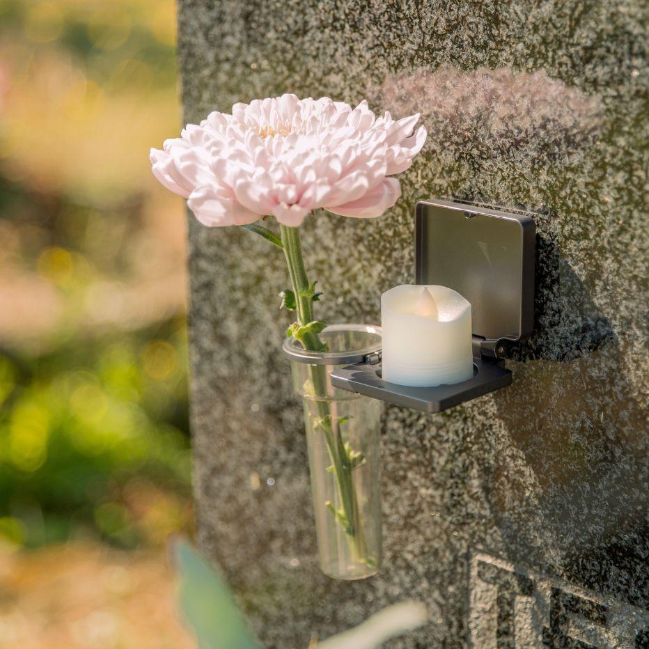 displayImage