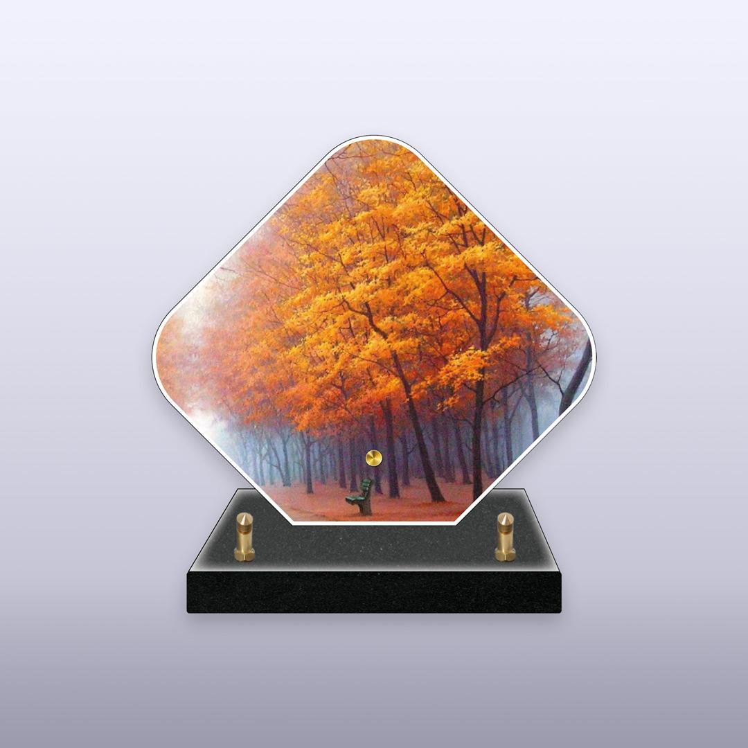 displayImage