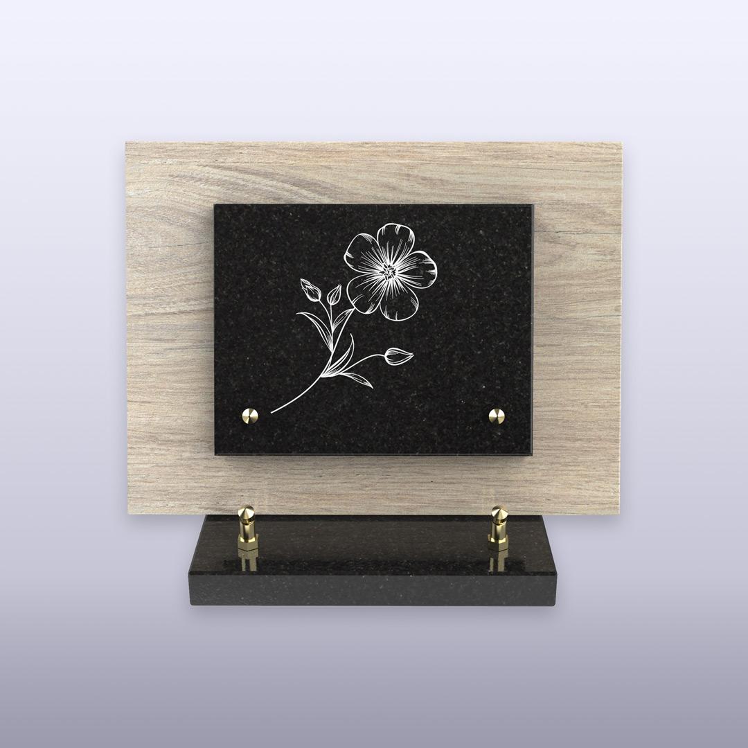 displayImage