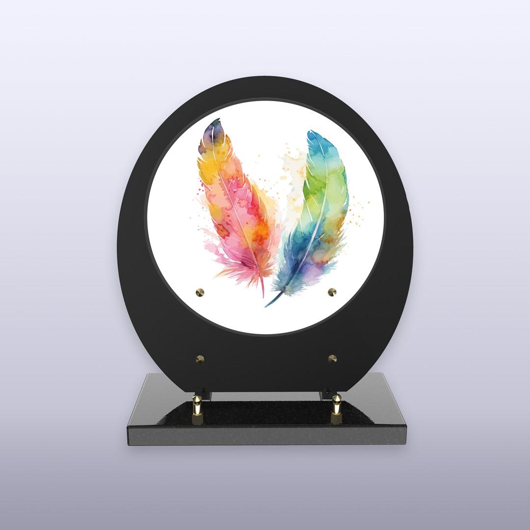 displayImage