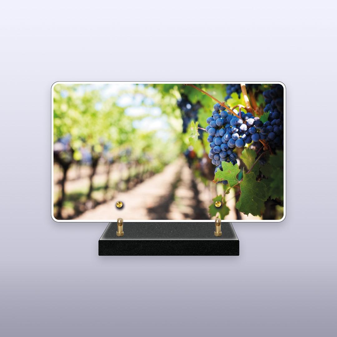 displayImage