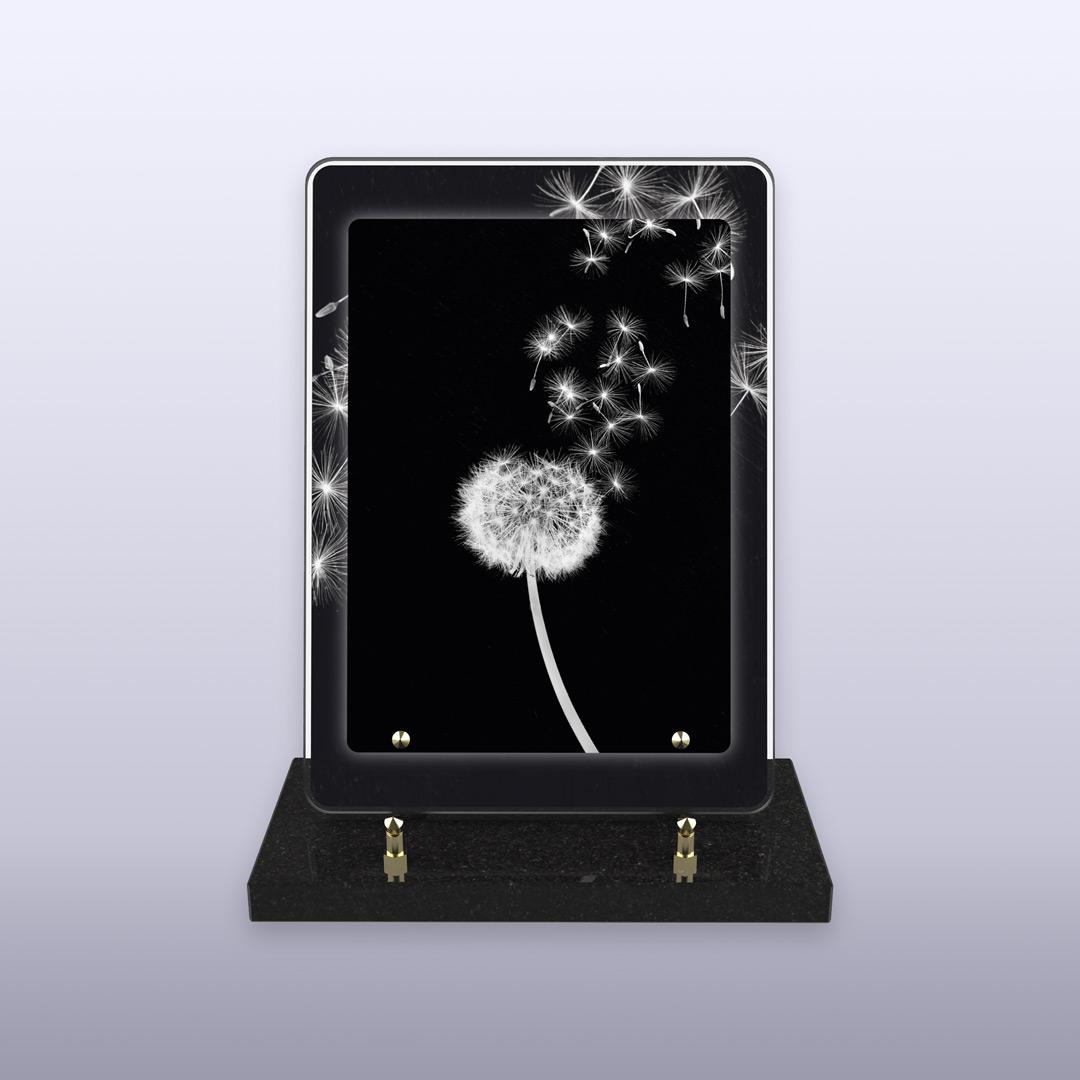 displayImage