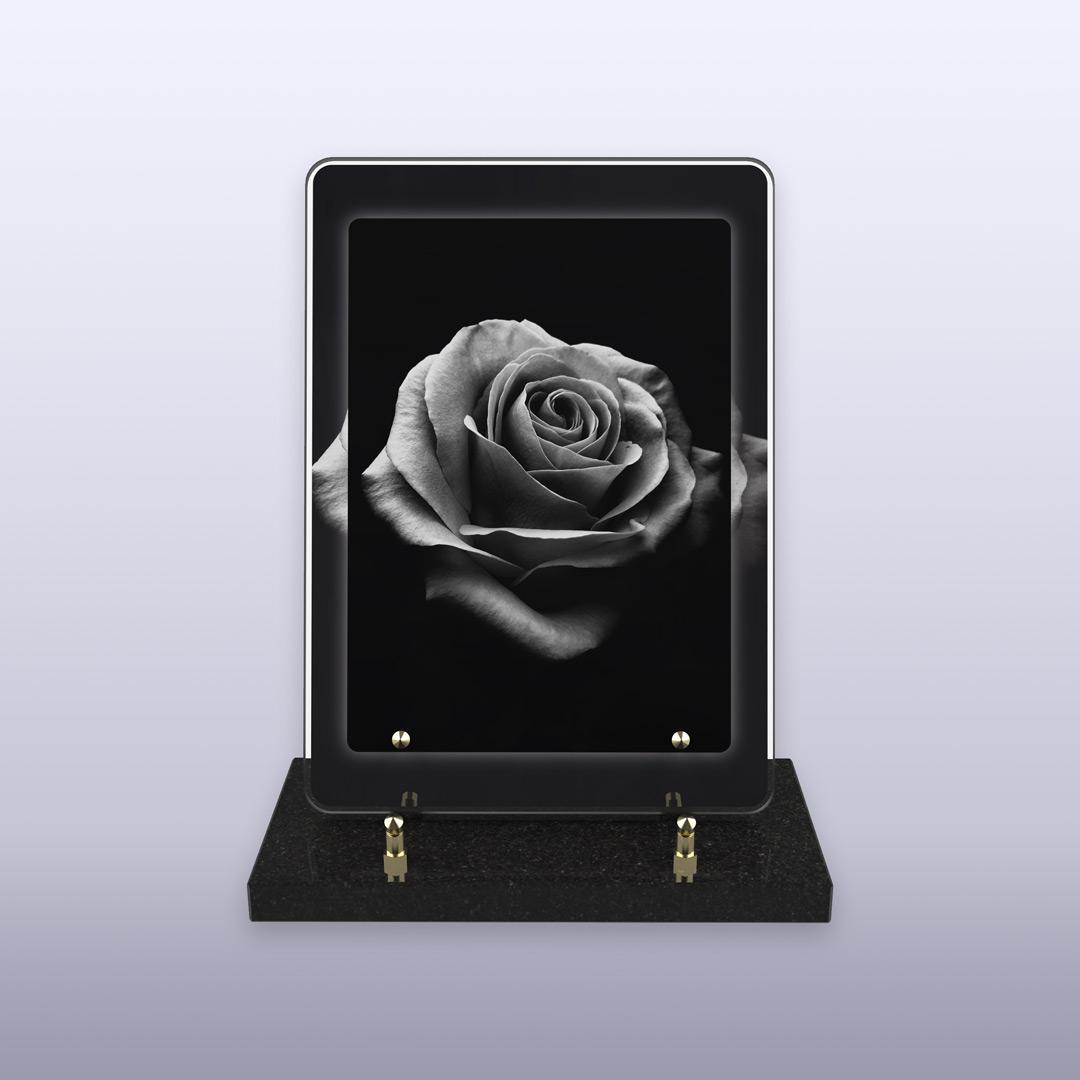 displayImage
