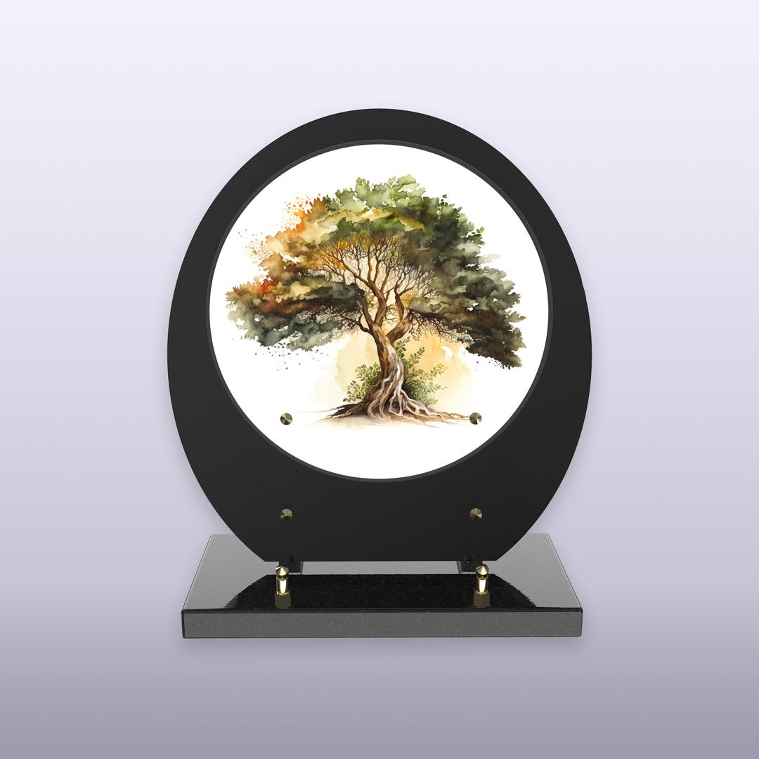 displayImage