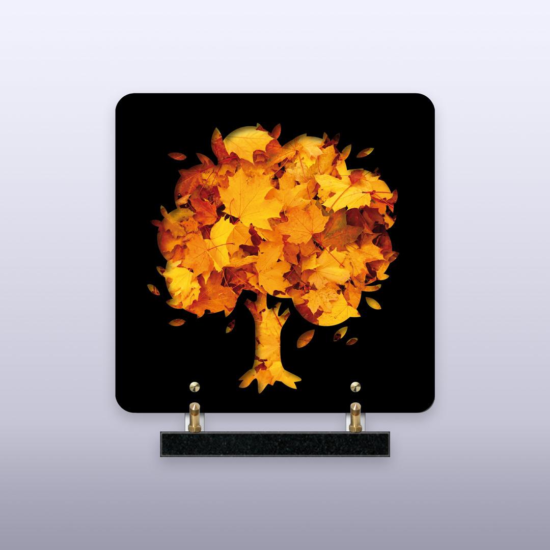 displayImage