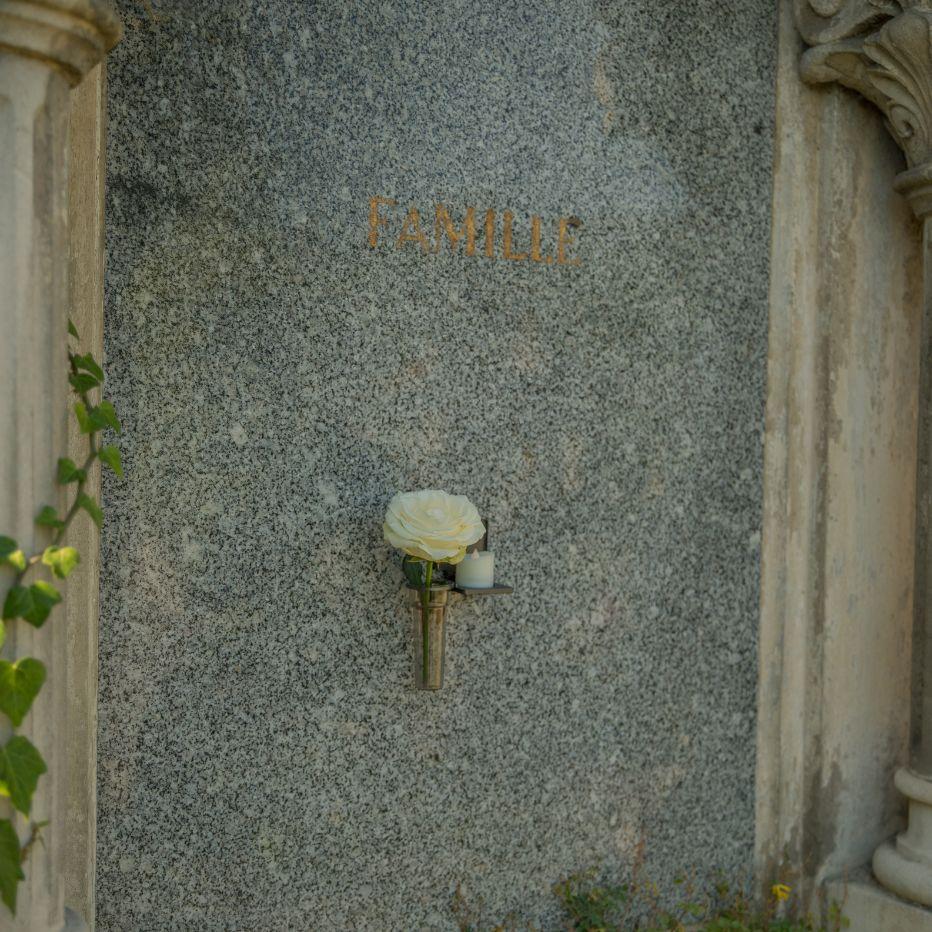 displayImage
