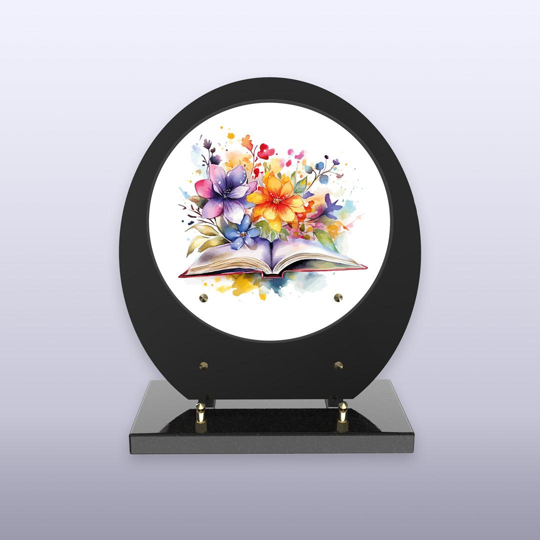 displayImage