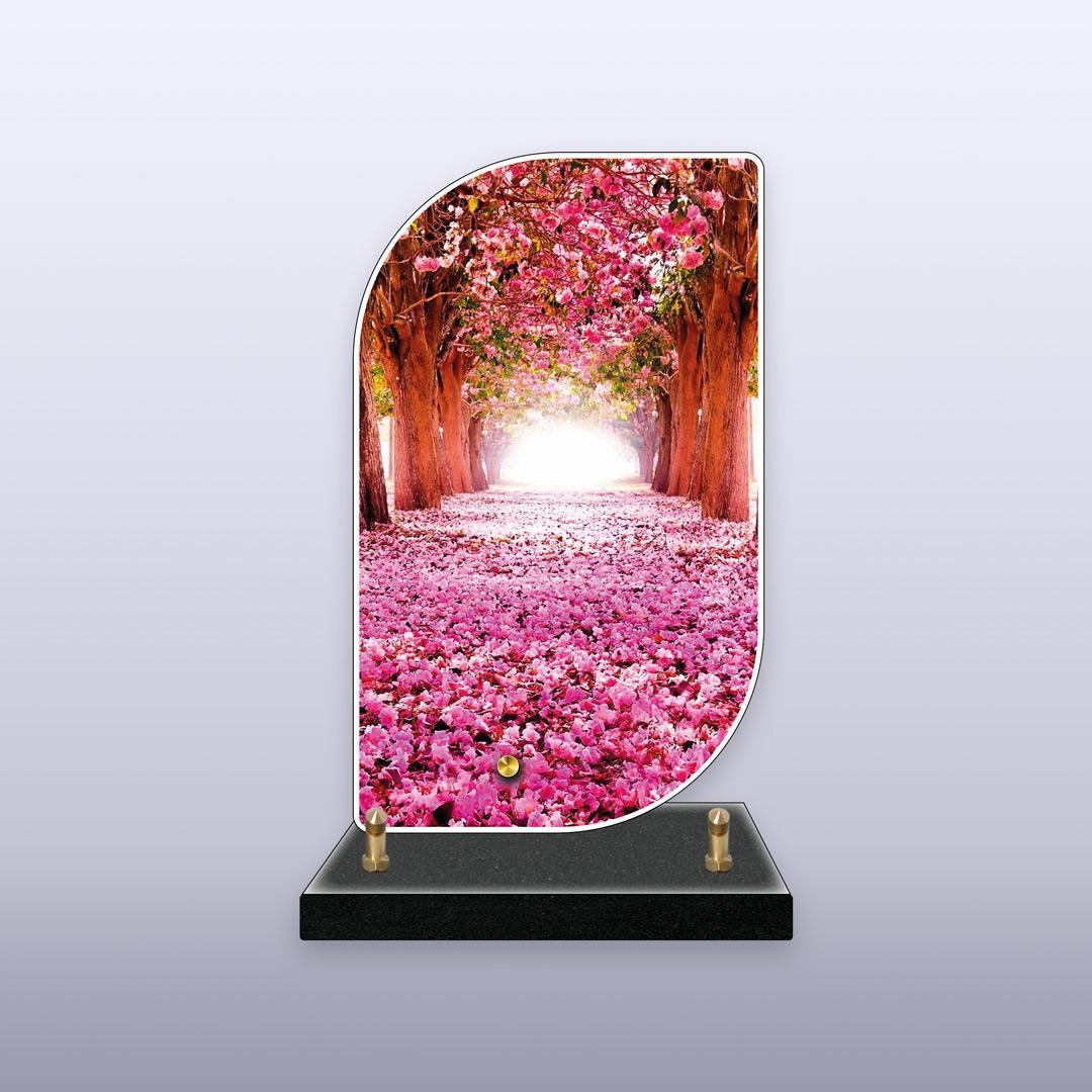 displayImage